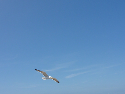 20110529 145722